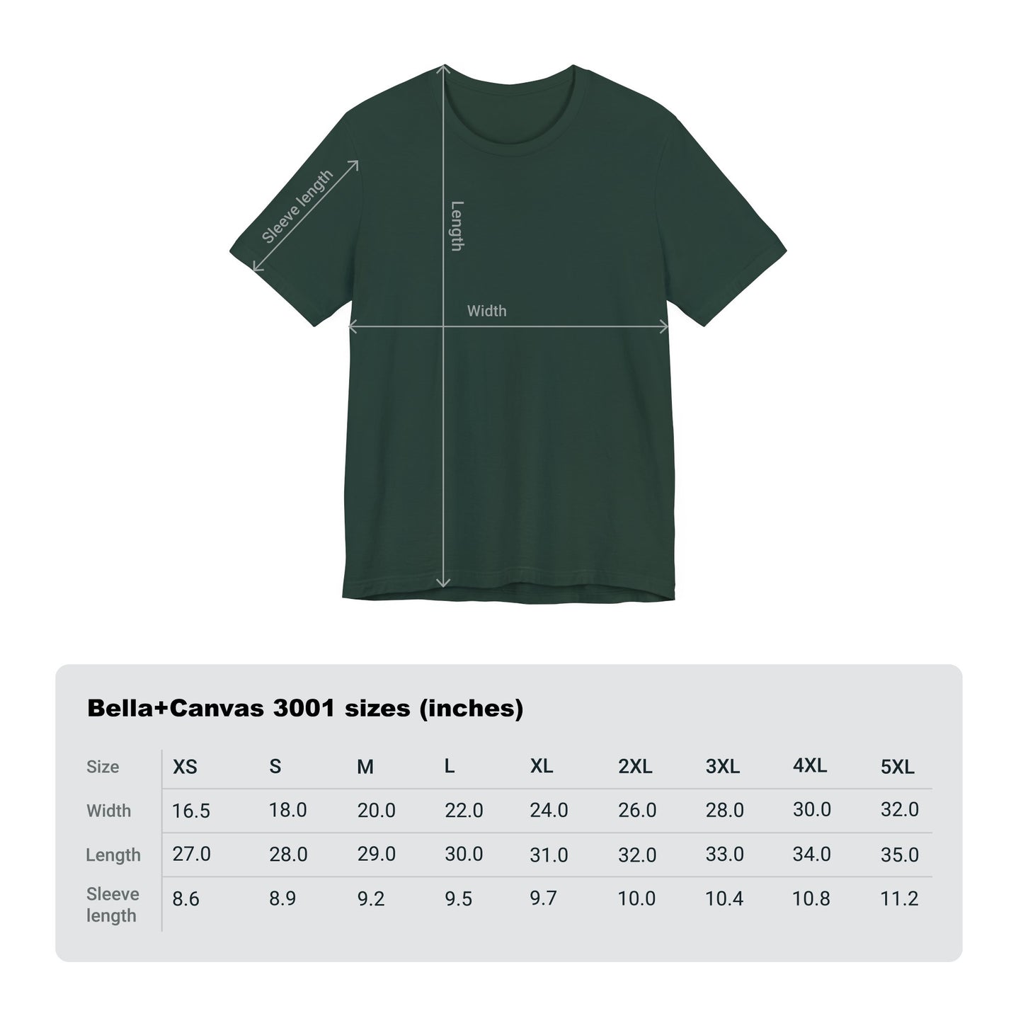 Ambitchous (Adult Unisex Tee)
