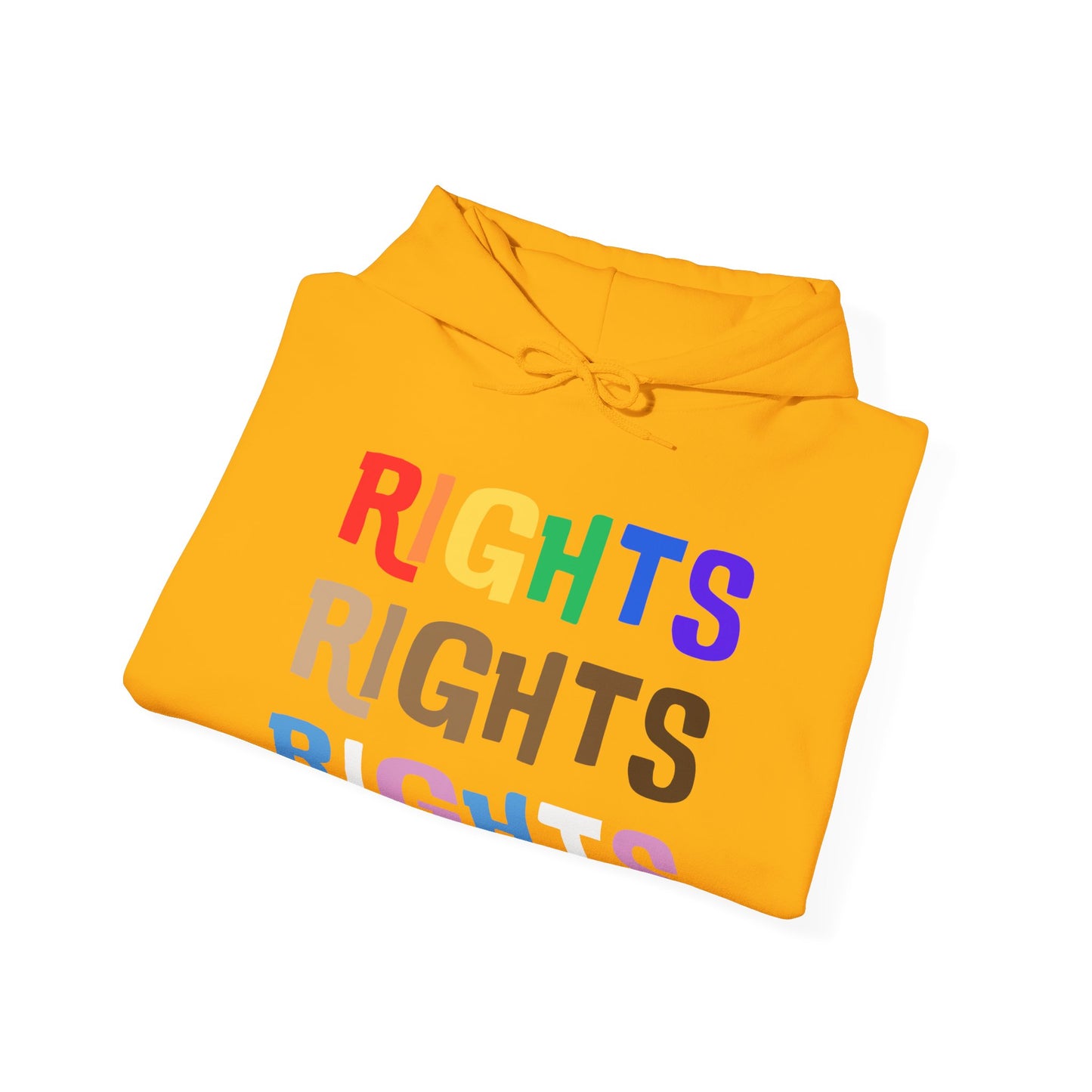 Equal Rights (Adult Unisex Hooded Sweatshirt)