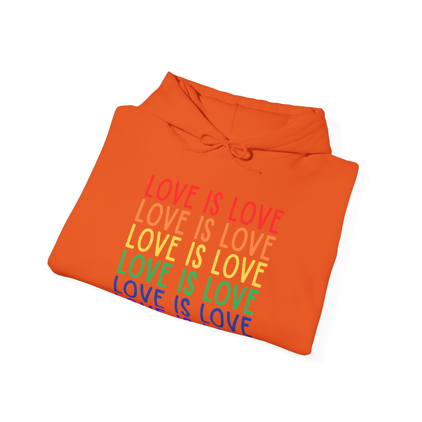 LGBTQ+ "Love Is Love" (Adult Unisex Hooded Sweatshirt)