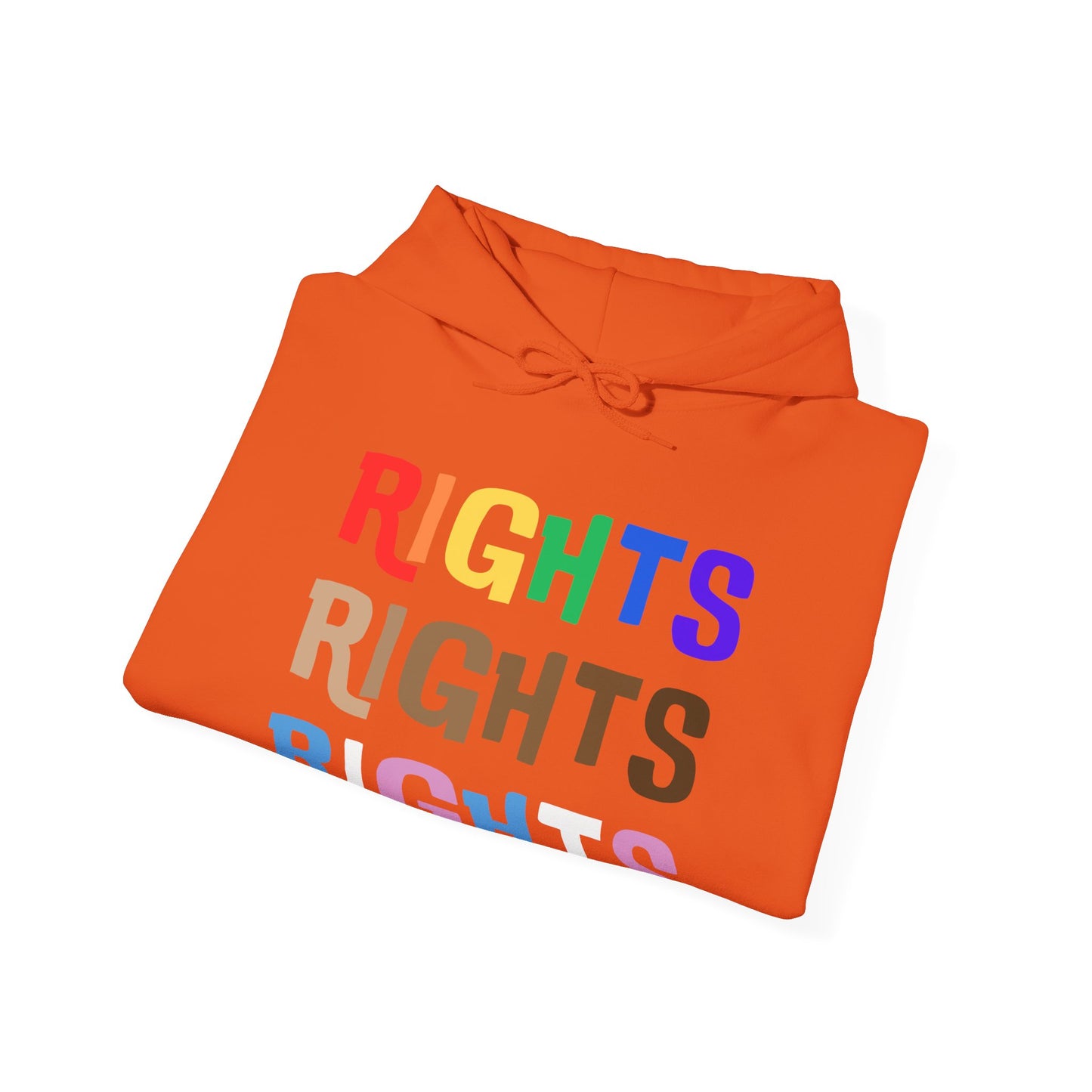 Equal Rights (Adult Unisex Hooded Sweatshirt)