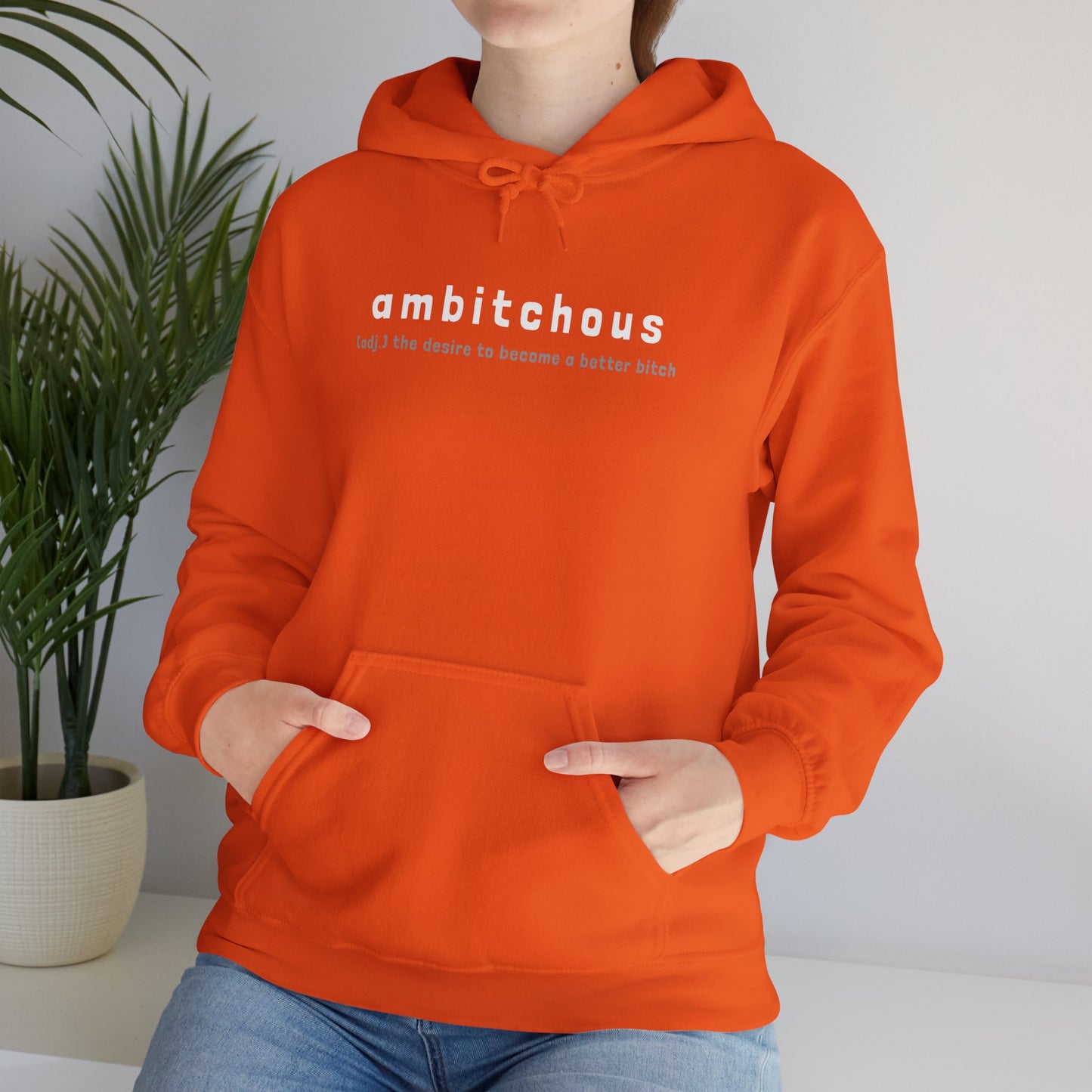 Ambitchous (Adult Unisex Hooded Sweatshirt)