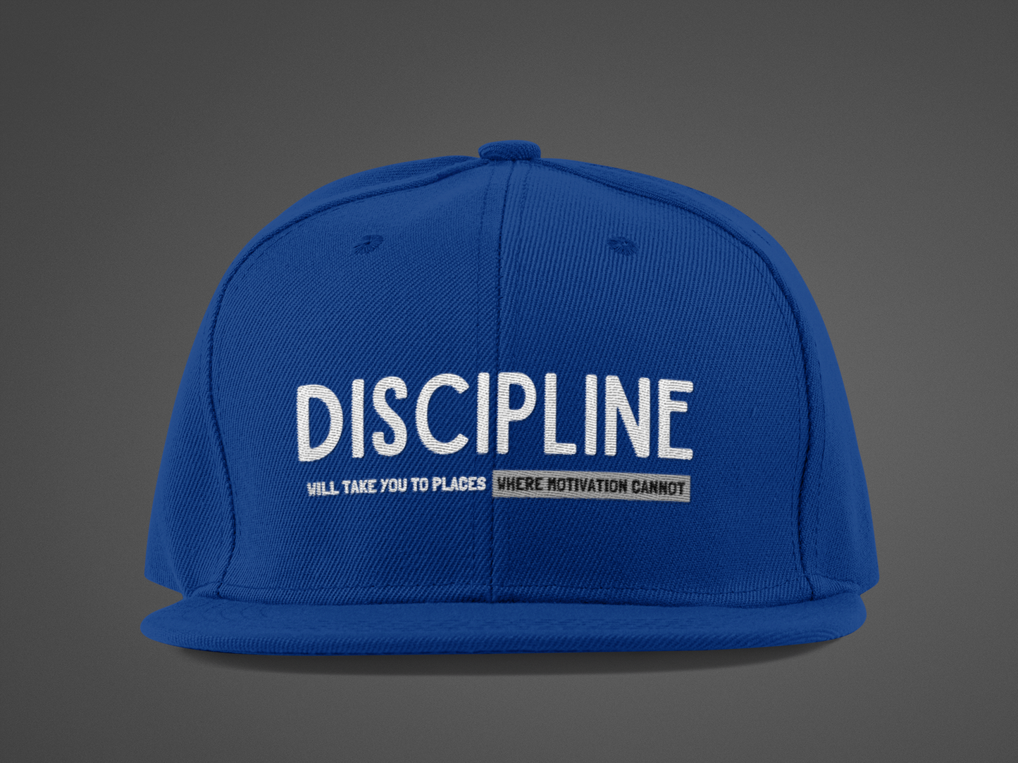 Discipline (DTF Printed Hat)