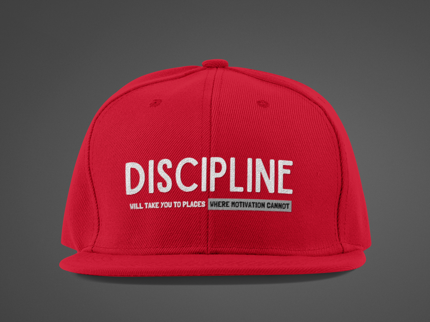 Discipline (DTF Printed Hat)