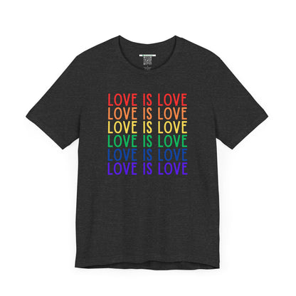 LGBTQ+ "Love Is Love" (Adult Unisex Tee)