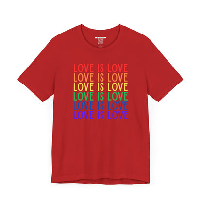 LGBTQ+ "Love Is Love" (Adult Unisex Tee)