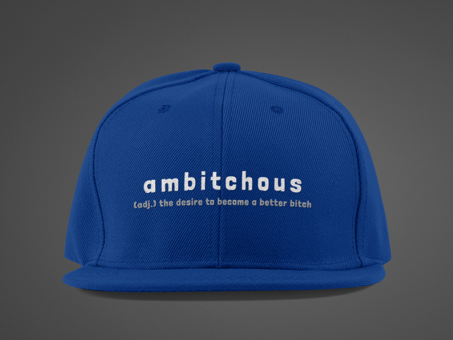 Ambitchous (DTF Printed Hat)