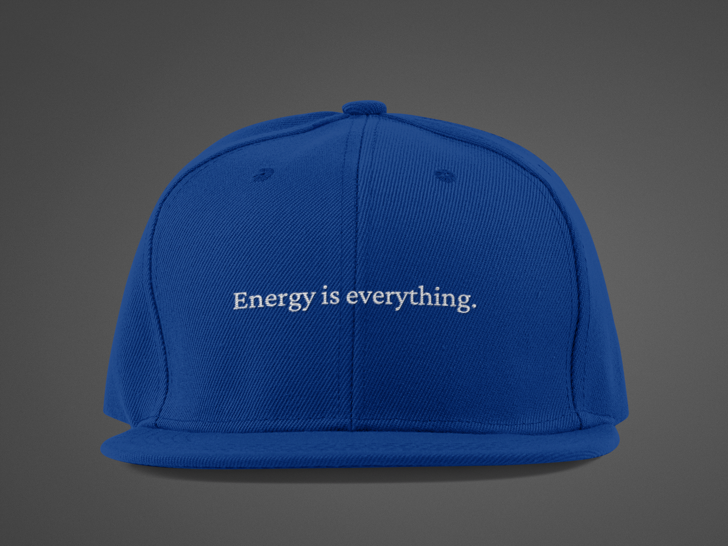 Energy is Everything  (DTF Printed Hat)