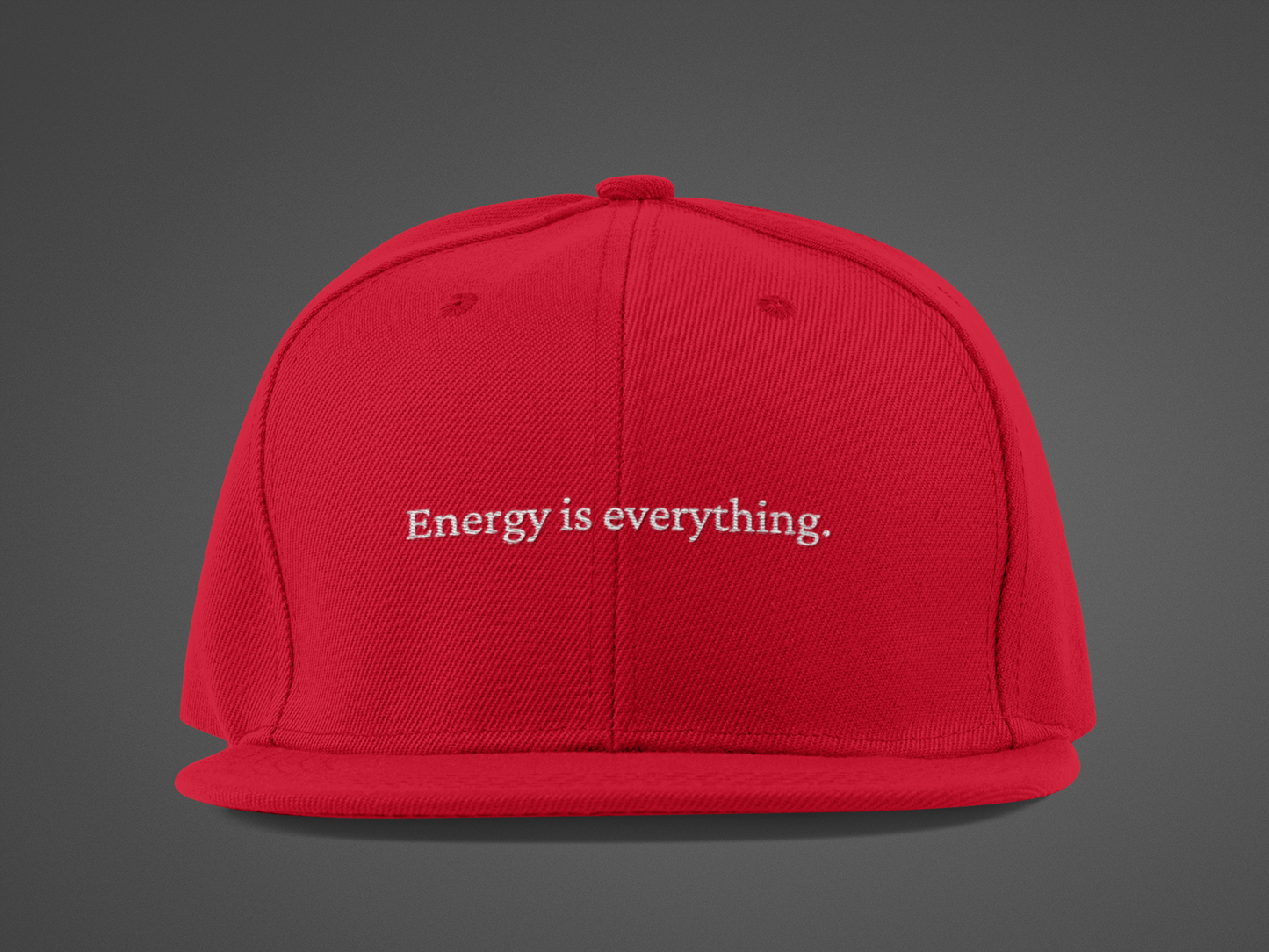 Energy is Everything  (DTF Printed Hat)
