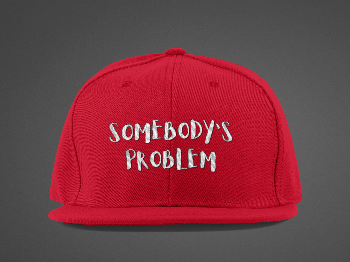 Matching Couple's Hat -- "Somebody's Problem" (DTF Printed Hat)